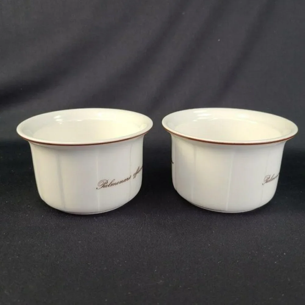 Villeroy and Boch Botanica Pulmonaria‎ Officinalis Purple Set of 2 Ramekins Disc